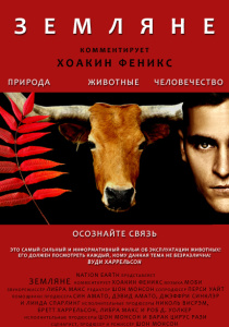 Эко
